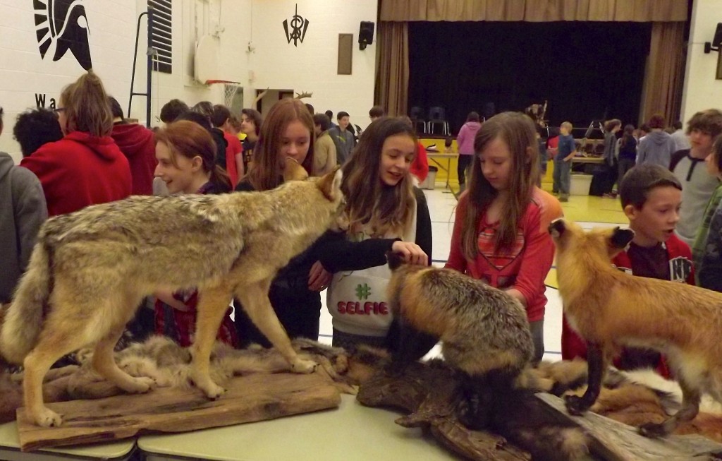 Local Wheatley Public School hosted a trapper display